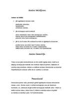 Referāts 'Amīni', 2.