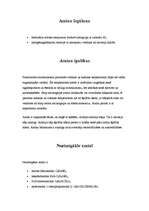 Referāts 'Amīni', 3.