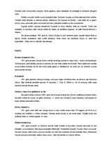 Eseja 'Latviešu lielā revolūcija', 2.