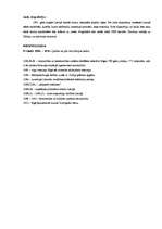 Eseja 'Latviešu lielā revolūcija', 3.