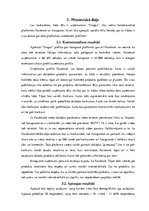 Referāts 'Uzņēmuma "Drogas" tēls sociālajos tīklos Instagram un Facebook', 6.