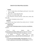 Referāts 'Latvijas tiesību attīstība 21.gadsimtā pēc iestāšanās Eiropas Savienībā', 13.