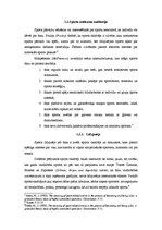 Referāts 'Hokeja kluba "Rīgas Dinamo" snieguma ietekme uz līdzjutēju komunikāciju nacionāl', 5.