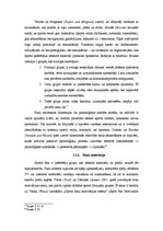 Referāts 'Hokeja kluba "Rīgas Dinamo" snieguma ietekme uz līdzjutēju komunikāciju nacionāl', 6.