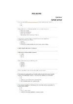 Referāts 'Hokeja kluba "Rīgas Dinamo" snieguma ietekme uz līdzjutēju komunikāciju nacionāl', 28.