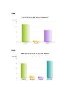 Referāts 'Hokeja kluba "Rīgas Dinamo" snieguma ietekme uz līdzjutēju komunikāciju nacionāl', 31.