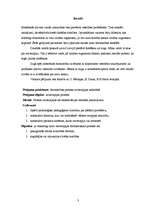 Referāts 'Reitterapijas izmantošana bērnu ar sociālajām vajadzībām rehabilitācijā', 3.