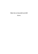 Referāts 'Koka ēkas un to materiāli', 1.