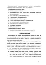 Referāts 'Koka ēkas un to materiāli', 11.