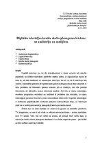 Referāts 'Digitālās televīzijas kanālu skaita pieauguma ietekme uz auditoriju un medijiem', 1.