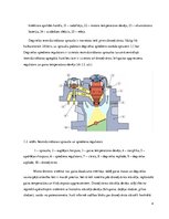 Referāts 'Monošprice', 4.