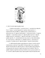 Referāts 'Monošprice', 10.