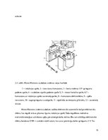 Referāts 'Monošprice', 15.