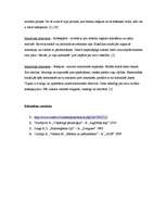 Referāts 'Personības psiholoģiskie tipi', 6.