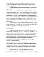 Referāts 'Teicamnieku statuss grupā saistījumā ar grupas attieksmi un tās motivāciju pusau', 5.