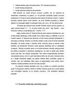 Referāts 'Teicamnieku statuss grupā saistījumā ar grupas attieksmi un tās motivāciju pusau', 9.