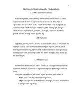 Referāts 'Produkta „maize” tirgus izpēte A/S „Hanzas Maize”', 5.