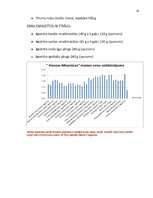 Referāts 'Produkta „maize” tirgus izpēte A/S „Hanzas Maize”', 16.