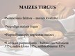 Referāts 'Produkta „maize” tirgus izpēte A/S „Hanzas Maize”', 26.