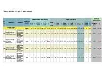 Referāts 'Vēlēšanu kampaņas modelis pašvaldību vēlēšanās', 1.