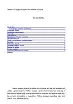 Referāts 'Vēlēšanu kampaņas modelis pašvaldību vēlēšanās', 2.