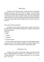 Referāts 'Vēlēšanu kampaņas modelis pašvaldību vēlēšanās', 3.