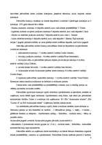 Referāts 'Vēlēšanu kampaņas modelis pašvaldību vēlēšanās', 5.