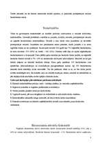 Referāts 'Vēlēšanu kampaņas modelis pašvaldību vēlēšanās', 9.