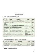 Referāts 'Vēlēšanu kampaņas modelis pašvaldību vēlēšanās', 17.