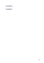 Referāts 'Vēlēšanu kampaņas modelis pašvaldību vēlēšanās', 23.