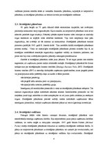 Referāts 'Menedžments. Stratēģiskā vadība', 6.