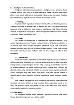 Referāts 'Menedžments. Stratēģiskā vadība', 8.