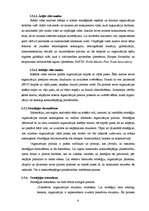 Referāts 'Menedžments. Stratēģiskā vadība', 9.