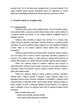 Referāts 'Menedžments. Stratēģiskā vadība', 11.