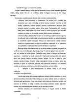 Referāts 'Menedžments. Stratēģiskā vadība', 12.