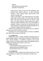 Referāts 'Menedžments. Stratēģiskā vadība', 13.