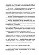 Referāts 'Menedžments. Stratēģiskā vadība', 16.