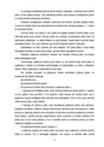 Referāts 'Menedžments. Stratēģiskā vadība', 17.