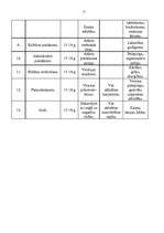 Konspekts 'Sociālās sadarbības formas', 10.