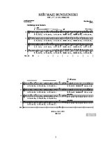 Konspekts 'Integrētā nodarbība (radošs darbs) pirmsskolā "Bungas"', 5.