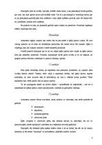 Referāts 'Aristoteļa Nikomaha ētika', 6.