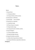 Referāts 'Līzings', 1.