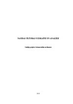 Referāts 'Naudas plūsmas uzskaite un analīze', 1.