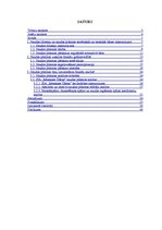 Referāts 'Naudas plūsmas uzskaite un analīze', 2.