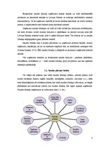 Referāts 'Naudas plūsmas uzskaite un analīze', 9.
