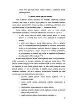 Referāts 'Naudas plūsmas uzskaite un analīze', 19.