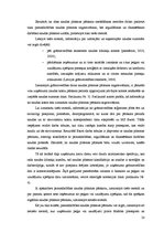 Referāts 'Naudas plūsmas uzskaite un analīze', 20.