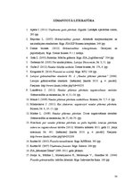 Referāts 'Naudas plūsmas uzskaite un analīze', 38.