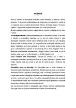 Konspekts 'Ētika Krievijā', 1.