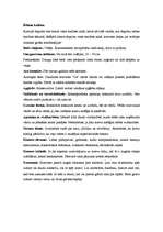 Konspekts 'Ētika Krievijā', 2.